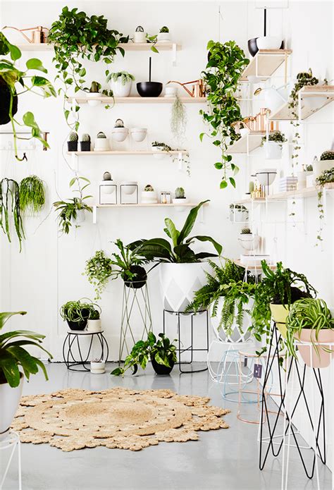 10 Amazing Indoor Garden Ideas To Brighten Your Home — Desima