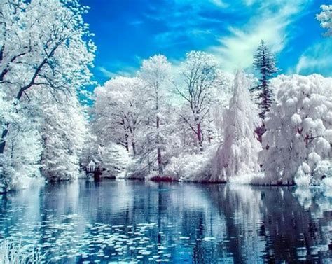 Beautiful Winter Snow Scene Diy Full 5d Diamond Painting