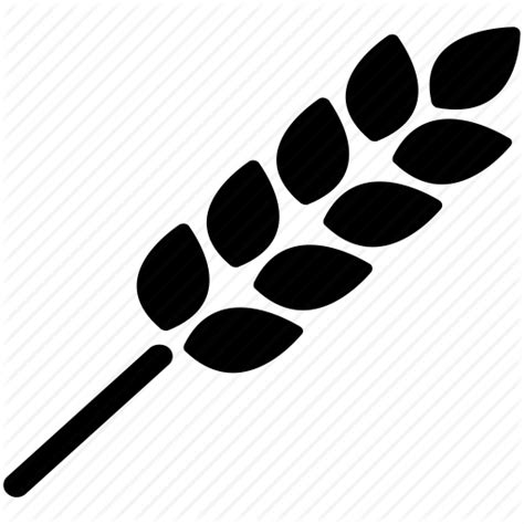 Wheat Icon Png 66224 Free Icons Library