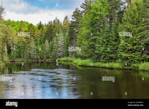 West Branch Ausable River In Spring Adirondack Mountains Essex County