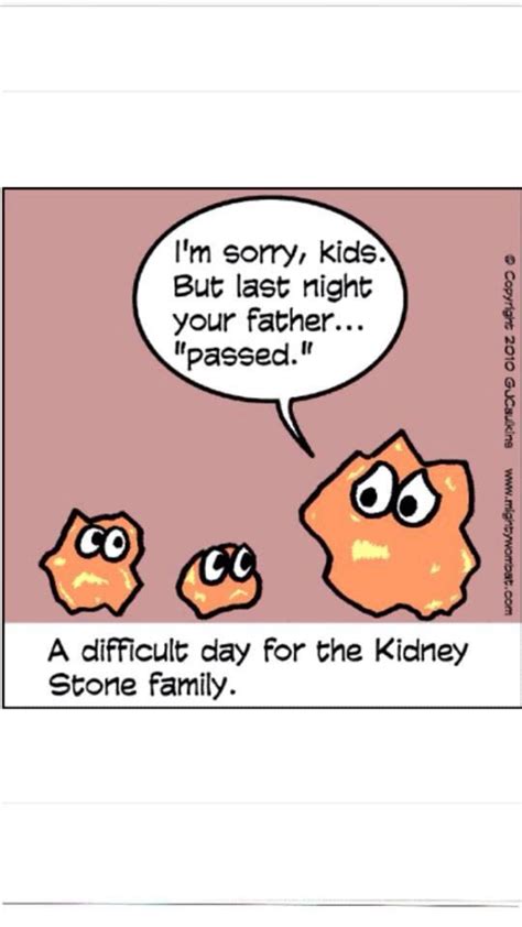 Whether you suspect you may be passing a 1mm stone or are a chronic stone former, this subreddit is here to. 43 best Urology Humor images on Pinterest | Ha ha ...