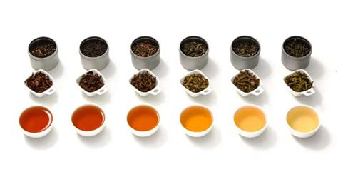 What Are The Different Types Of Tea Tea Hee Shop Uk