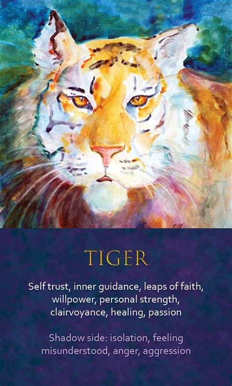 Spirit Animal Awareness Oracle Cards Tiger Tiger Spirit Animal Find