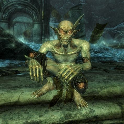 ファルメル The Elder Scrolls V：skyrim 日本語 攻略 Wiki