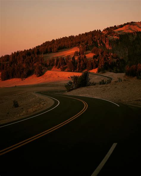 Curved Road · Free Stock Photo