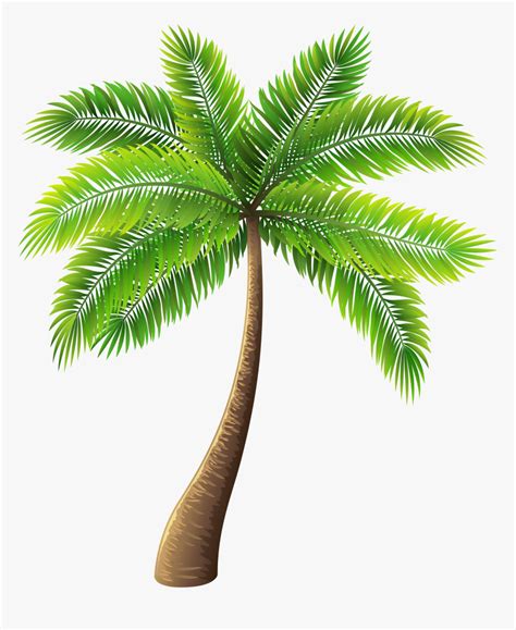 Palm Tree Clip Art Palm Tree Png Palm Tree Drawing Palm Trees Tree Tattoo Back Palm Tree