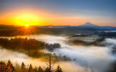 Wallpaper Morning Mist Mountain Sunrise 2560x1600 Hd Picture Image