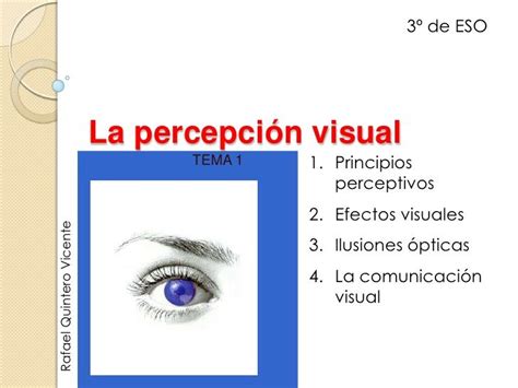 Percepción Visual Percepcion Comunicacion Visual Lectura