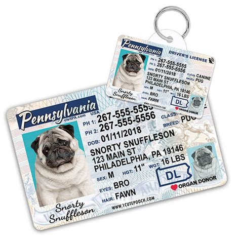 Pennsylvania Driver Licence Custom Pet Id Tags And Wallet Card Etsy