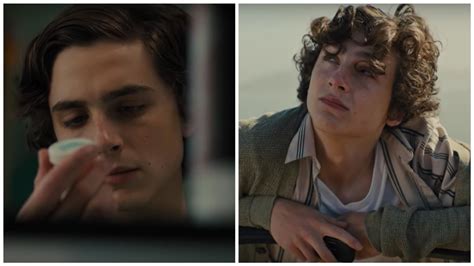 Why You Should Watch Beautiful Boy With Timothée Chalamet And Steve