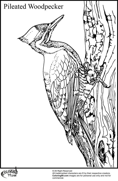 Woodpecker Coloring Page Coloring Pages