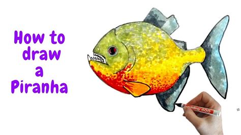 These strategies have supported thousands of. how to draw a piranha fish easy - YouTube