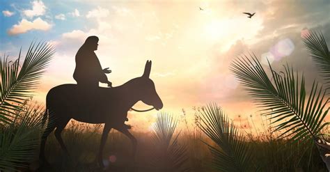 Jesus Triumphal Entry 8 Things About Palm Sunday You Probably Didnt