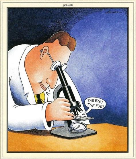 Vintage Gary Larson The Far Side Cartoon By Thevintagejunkie Sexiz Pix