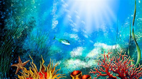 46 Aquarium Wallpaper Animated On Wallpapersafari