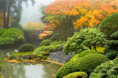 Foggy Upper Pond Of The Strolling Garden During Fall In Portland