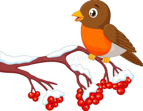 Cartoon Beautiful Robin Bird Posing On The Berry Tree