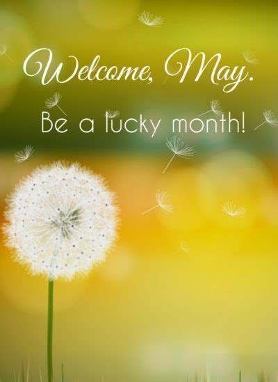 50hello May Images Pictures Quotes And Pics 2020
