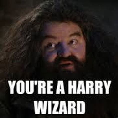 Youre A Wizard Harry Quote Wizard From Harry Potter Quotes