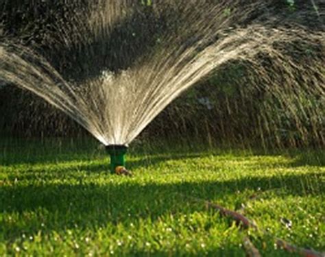 Water regularly to help maintain moisture levels while enriching the soil. Watering New Sod
