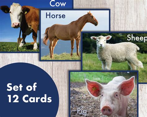 Printable Farm Animal Flash Cards