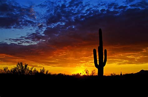 Sonoran Style Sunset Photograph By Saija Lehtonen Fine Art America