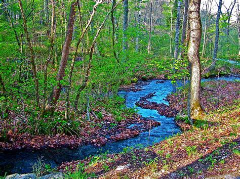 Fall Hollow On Mile 391 Of Natchez Trace Parkway Tenneessee Photograph