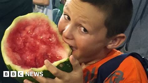 Watermelon Boy Finds Fame With Australia Cricket Fans Bbc News