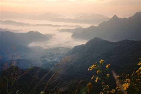 Phu Chi Fa Thailand Sea Of Mist Viewpoint From Chiang Rai