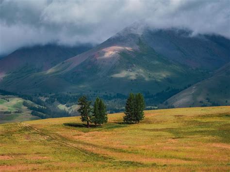 Premium Photo Beautiful Dramatic Green Mountain Landscape With Long