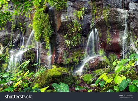 Several Small Waterfalls Greenery Moss Covered Stock Photo 104425049