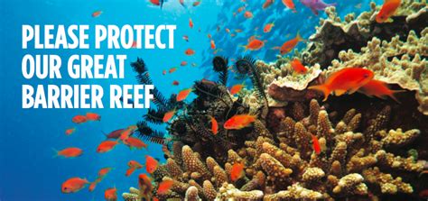 Getup Minister Hunt Protect Our Reef
