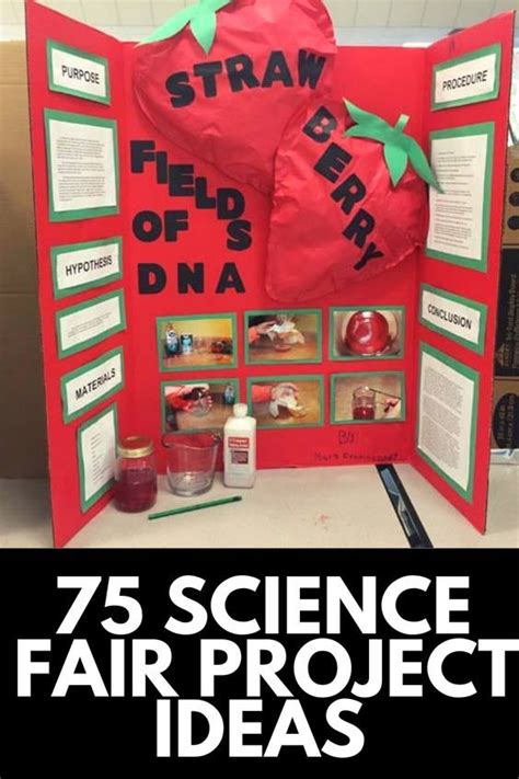 75 Fantastic Science Fair Project Ideas Momdot Science Fair