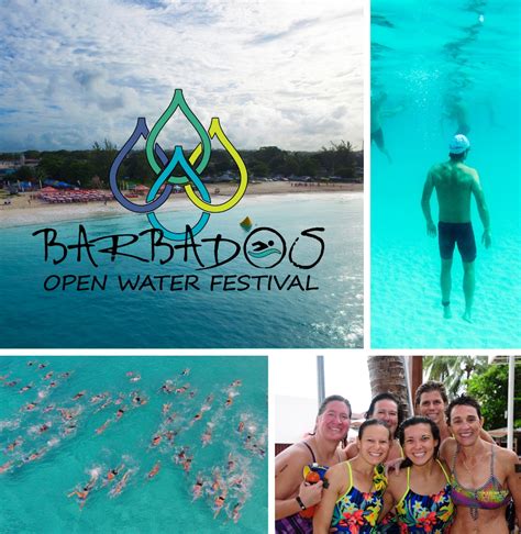 barbados open water festival 2020 my guide barbados