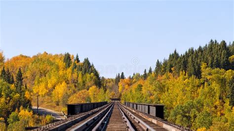 Railroad Tracks Through Autumn Forest Stock Photo Image Of Railroad