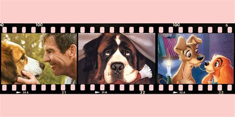 20 Best Dog Movies To Watch Best Movies About Dogs To Stream