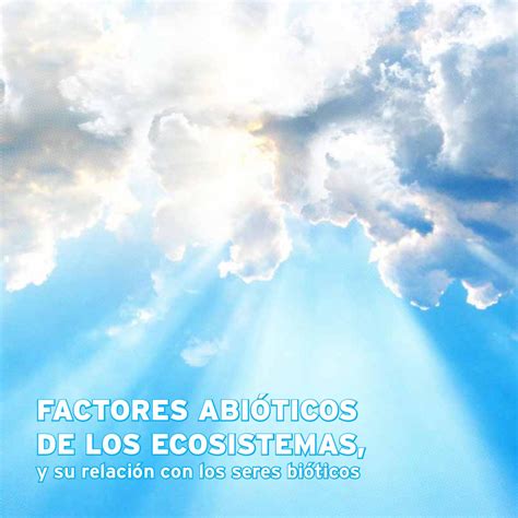 Factores Abioticos De Los Ecosistemas By William Fernando Barrios My
