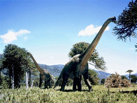 Dinosaurs — One Of The Largest Dinosaurs Brachiosaurus Lived