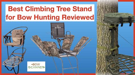 Best Climbing Tree Stand For Bow Hunting Reviewed Climbing Tree
