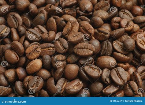 Coffee Grains Stock Image Image Of Vivacity Espresso 9156747
