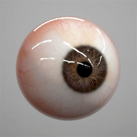 Ma Eye Realistic Human Realtime Eyeball Drawing Human Eyeball Human Eye
