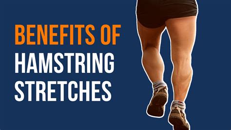 Benefits Of Hamstring Stretches Physiofit Health