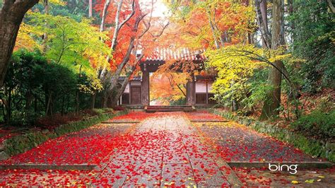 Autumn Desktop Wallpaper ·① Download Free Stunning Full Hd