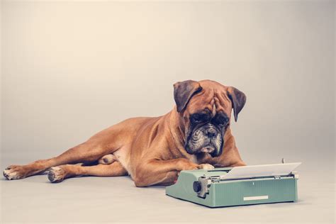 Hilarious Photos Of Pets Acting Like People Readers Digest Canada