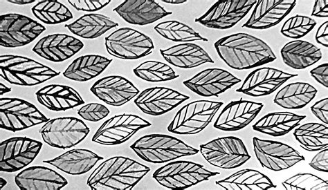 Black And White Leaves Free Stock Photo Public Domain Pictures