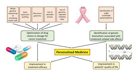 ijms free full text novel strategies on personalized medicine for breast cancer treatment