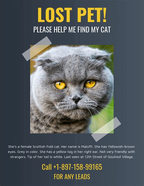 Lost Pet Flyer Template For Your Needs