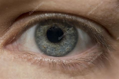 Macro Close Up Human Eye Stock Photo By ©lynn2511 23950417