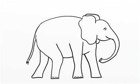 Collection Of Elephant Png Hd Outline Pluspng