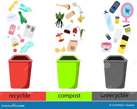 Recyclable Compost And Garbage Infographic Illustration Types Of